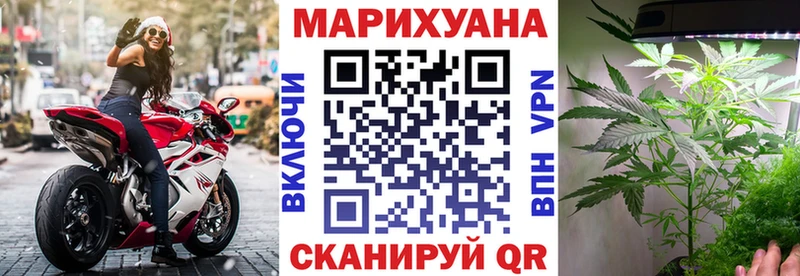 Бошки Шишки THC 21%  дарнет шоп  Дорогобуж 